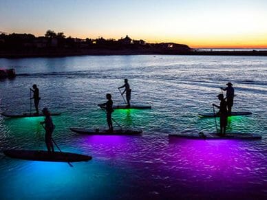 Neon Glow Paddleboard Night Tour