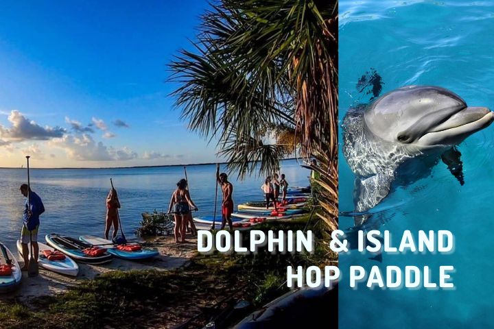Paddleboarding to spot Dolphin and explore islands