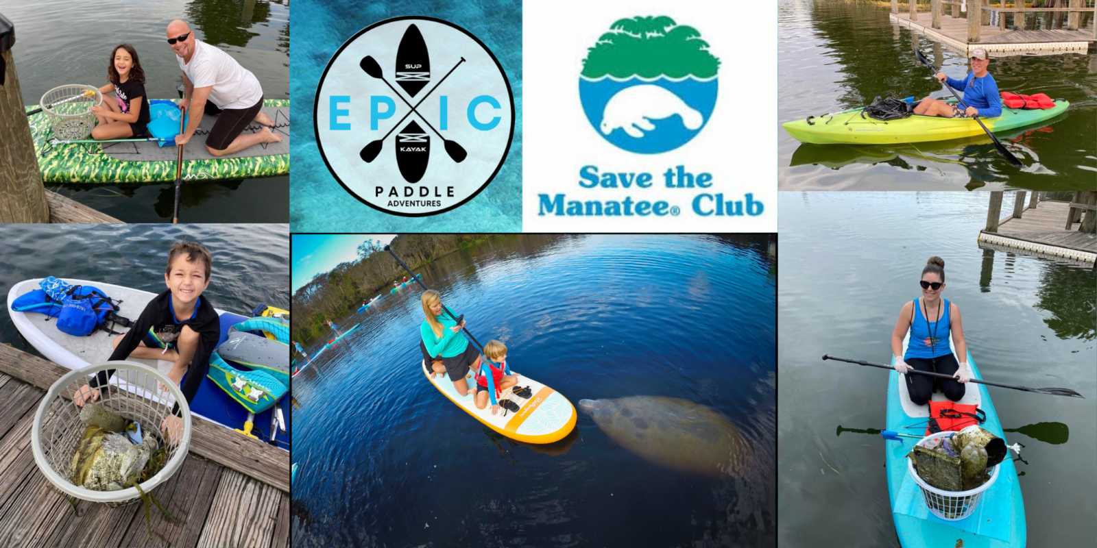 Read more about the article Epic Paddle Adventures Manatee Tours