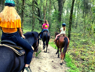Horseback ride in the woods