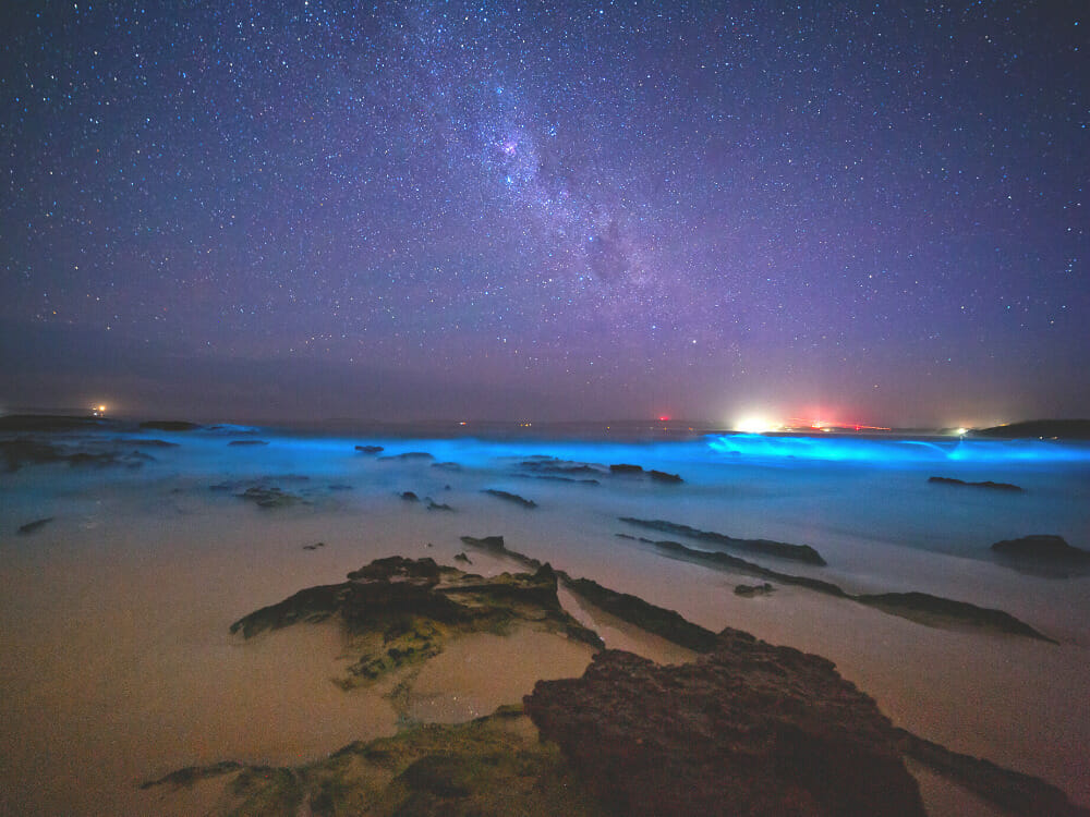 Bioluminescence glow in water under the night stars