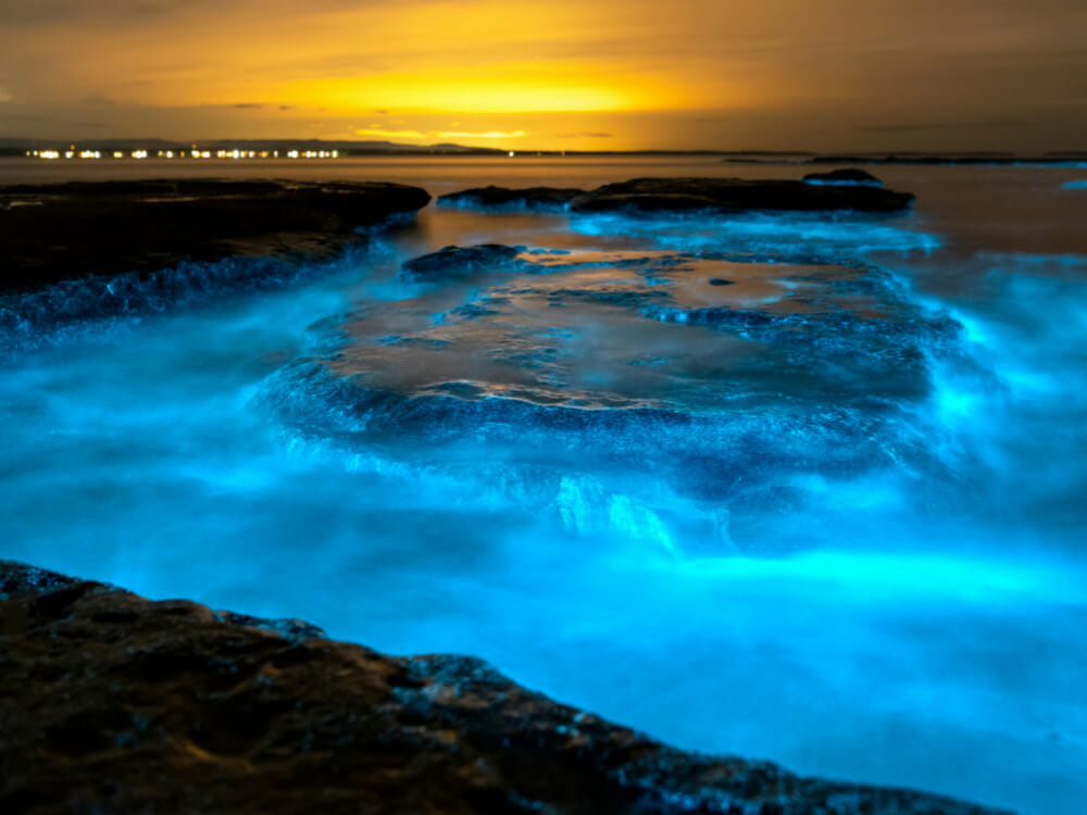 Bioluminescence glow in the water with sunset in the background