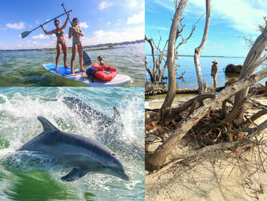Paddleboarding with dolphins.