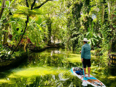 Paddleboarding down a canal of dense vegetation
