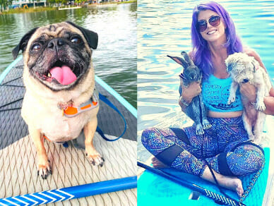 Lady paddleboarding with a dog and bunny.