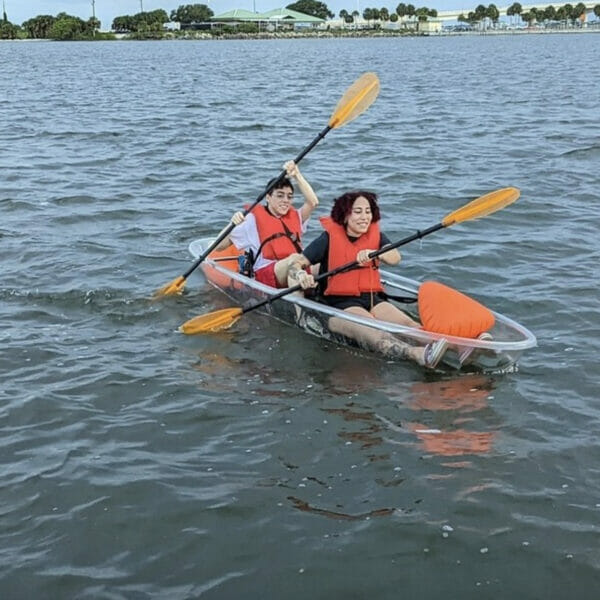 Clear Paddle Kayak Tour Dolphin Manatee Seeing Watching Florida