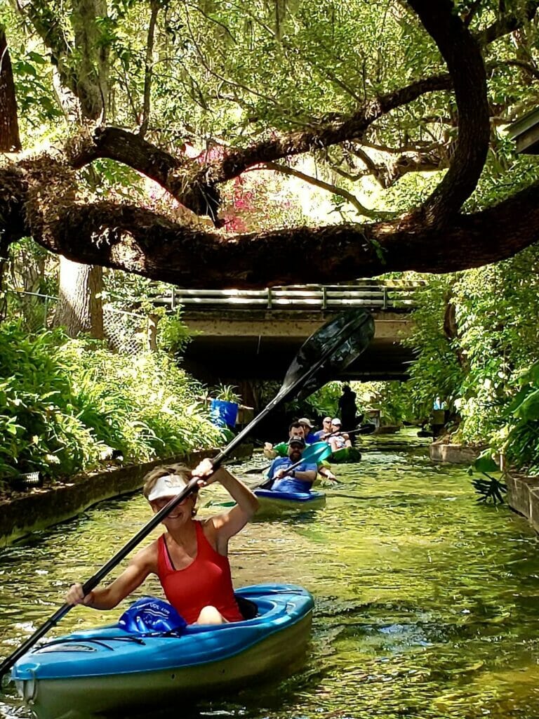 Read more about the article Florida’s Hidden Paradise : Paddleboarding and Kayaking in the Fall