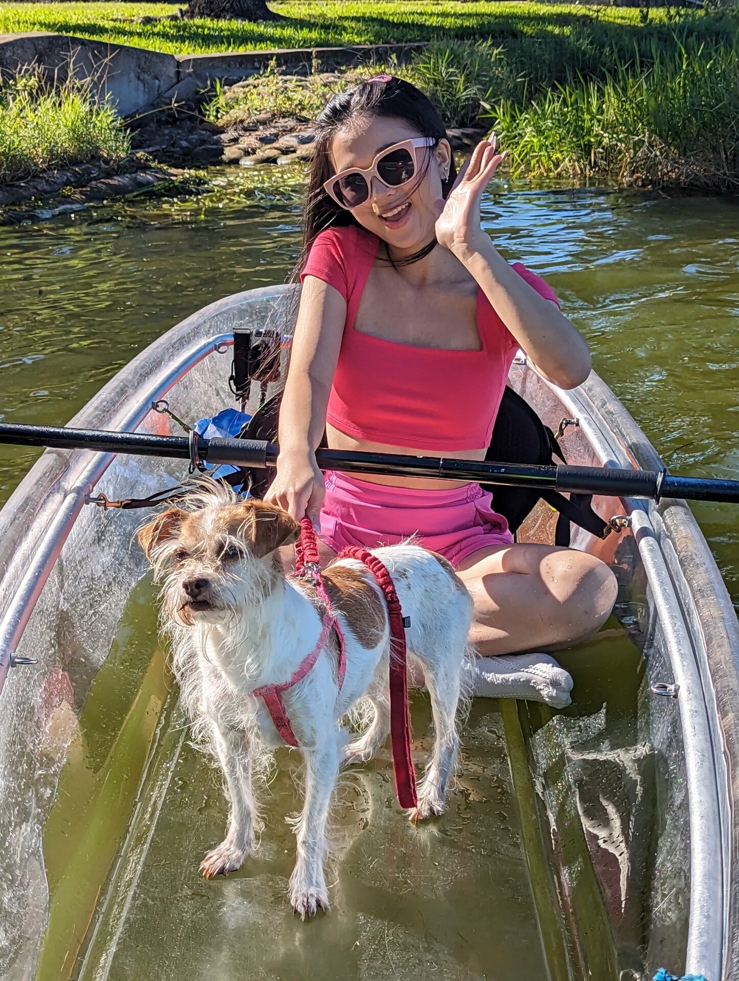 Puppy Dog Clear Kayak Epic Paddle Adventure Rental