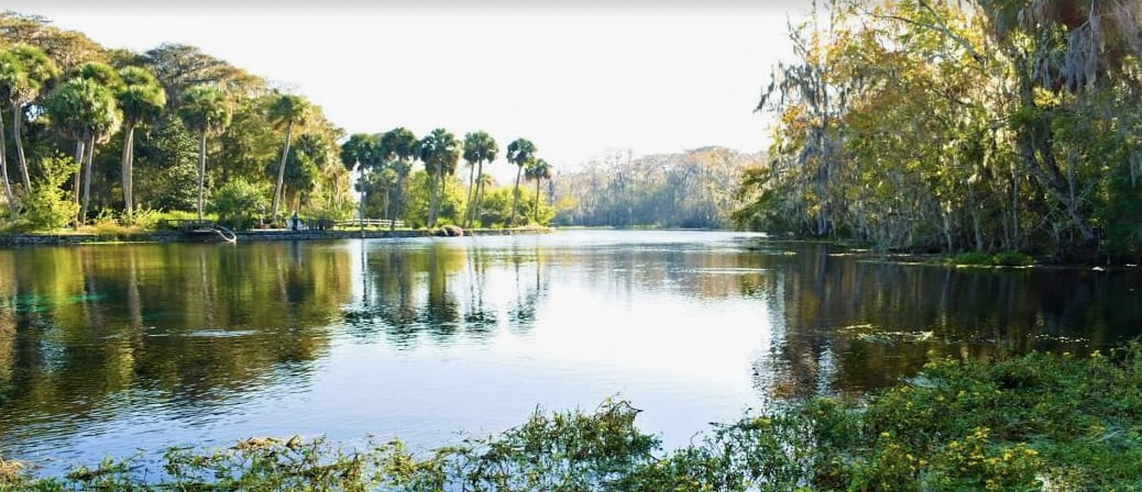 Read more about the article Clear Kayaking at Silver Springs State Park: Voted #1 in the state by Floridians