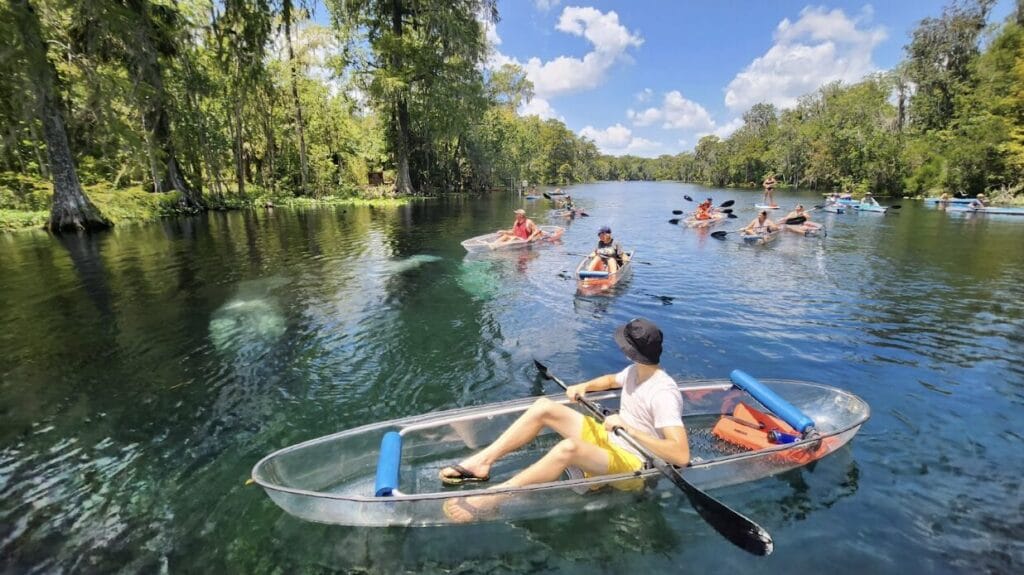 Paddle-Kayak-Florida-Springs-Rental-Tours-See-Manatee-Wildlife
